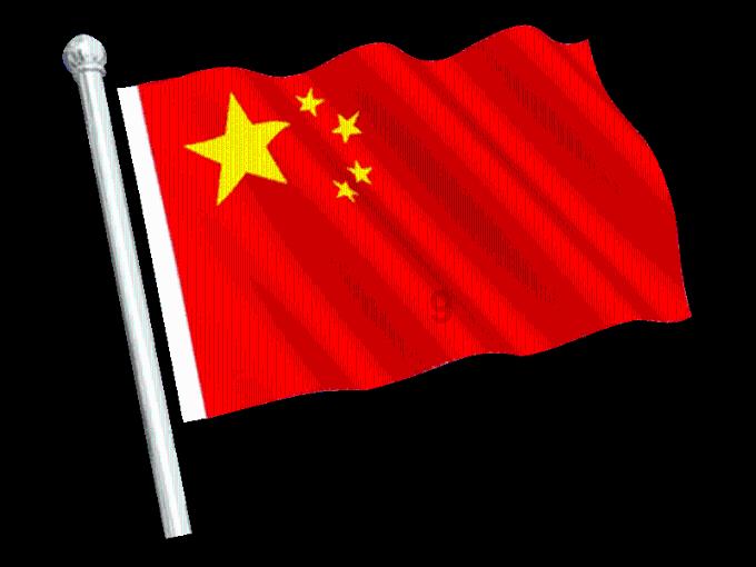 漂亮鹦鹉救援